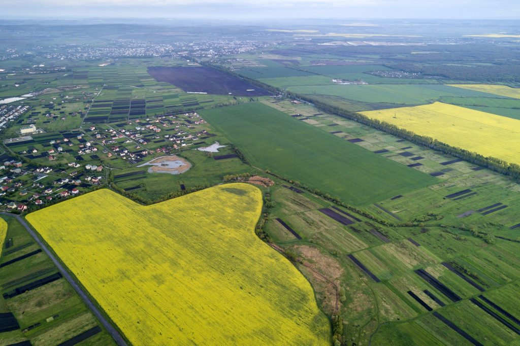 Rural landscape on spring or summer day.