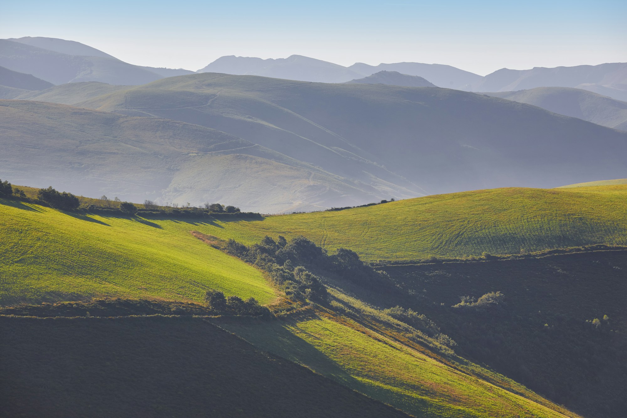 Green wavy meadows landscape at dawn in Asturias. Travel Spain